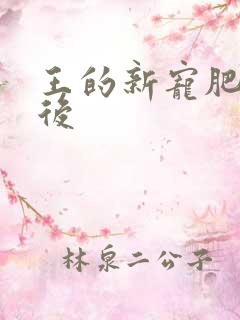 王的新宠肥婆皇后
