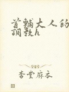 首辅大人的花式调教h