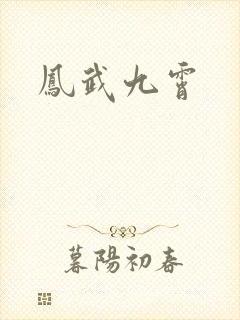 凤武九霄