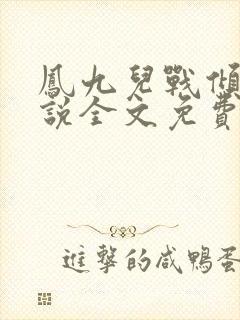 凤九儿战倾城小说全文免费阅读无弹窗