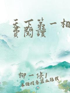天下第一相书免费阅读