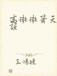 高微微萧天策小说