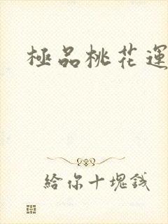 极品桃花运下载