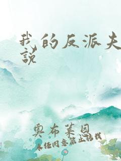 我的反派夫君小说