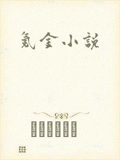 氪金小说