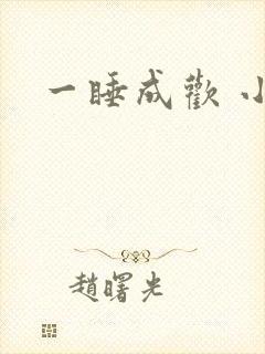 一睡成欢 小说