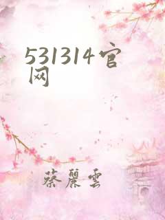 531314官网