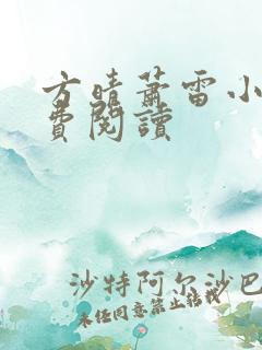 方晴萧雷小说免费阅读