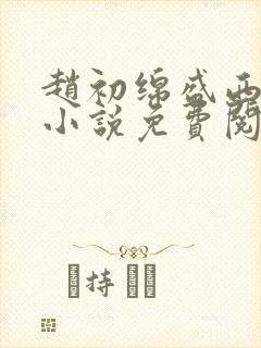 赵初绵盛西舫的小说免费阅读