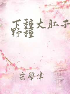 下种大肚子怀孕野种