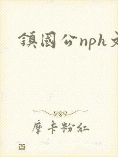 镇国公nph文