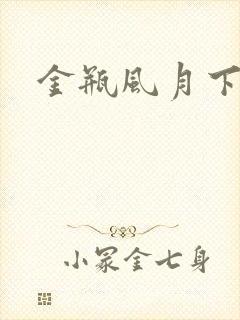 金瓶风月下载