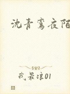 沈青鸾夜陌凌