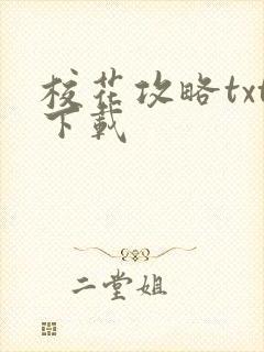 校花攻略txt下载