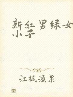 新红男绿女之坏小子