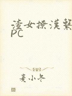 渣女撩汉系统NPC