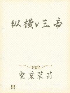 纵横v玉帝
