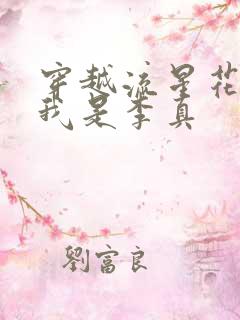 穿越流星花园之我是李真