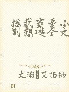 总裁霸爱小娇妻别想逃全文阅读免费