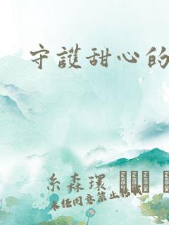 守护甜心的小说