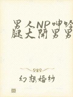 男人NP呻吟双腿大开男男小说