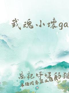 武魂小坏ga