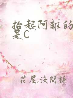 抬起阿离的腿就是C