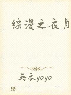 综漫之夜月