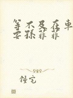 等不及在车里就要孙菲菲