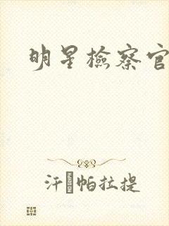 明星检察官小说