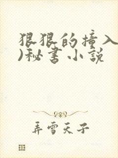 狠狠的撞入(h)秘书小说