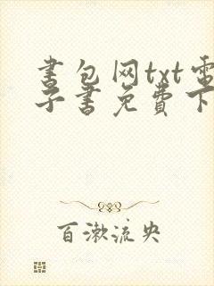 书包网txt电子书免费下载