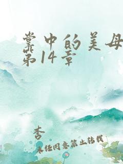 掌中的美母版主第14章