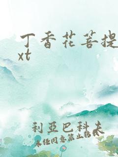 丁香花菩提树txt