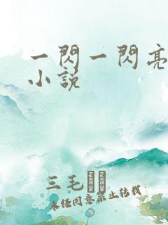 一闪一闪亮晶晶小说