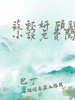 苏轻妍 顾辞笙小说免费阅读