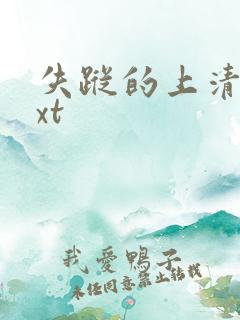 失踪的上清寺txt