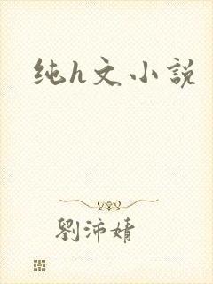 纯h文小说