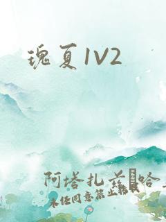 瑰夏1V2