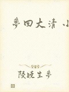 梦回大清 小说
