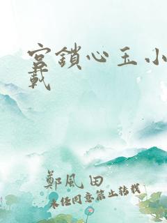 宫锁心玉小说下载