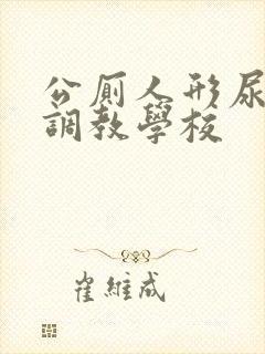 公厕人形尿便器调教学校