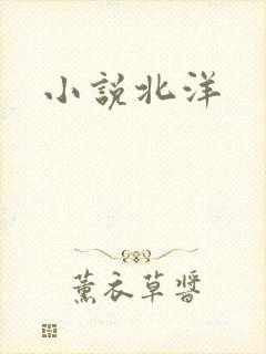 小说北洋