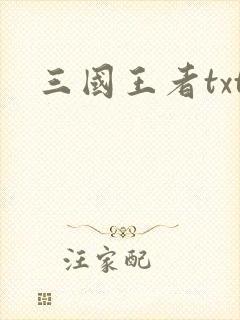 三国王者txt