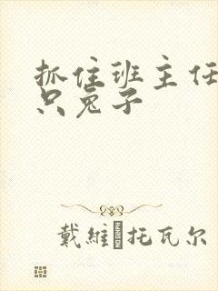 抓住班主任的两只兔子