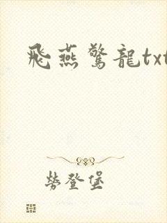 飞燕惊龙txt