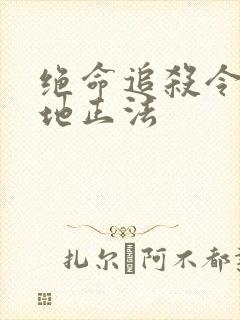 绝命追杀令2就地正法