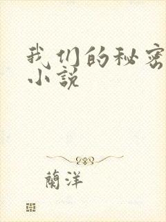 我们的秘密泰剧小说