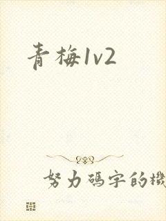 青梅1v2