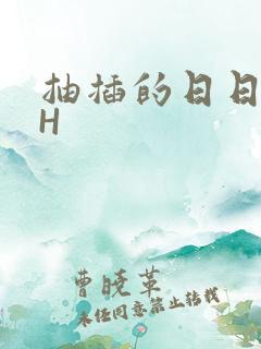 抽插的日日液液H